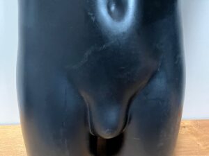 Buste mannequin homme – Noir