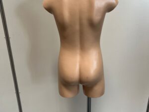 Buste mannequin enfant 5/6 ans + socle