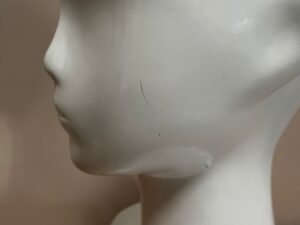Tête de présentation unisexe