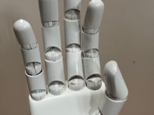 Main de présentation articulée unisexe en fibre de verre blanche – H33 cm