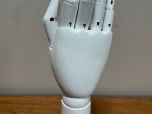 Main de présentation articulée unisexe en fibre de verre blanche – H33 cm