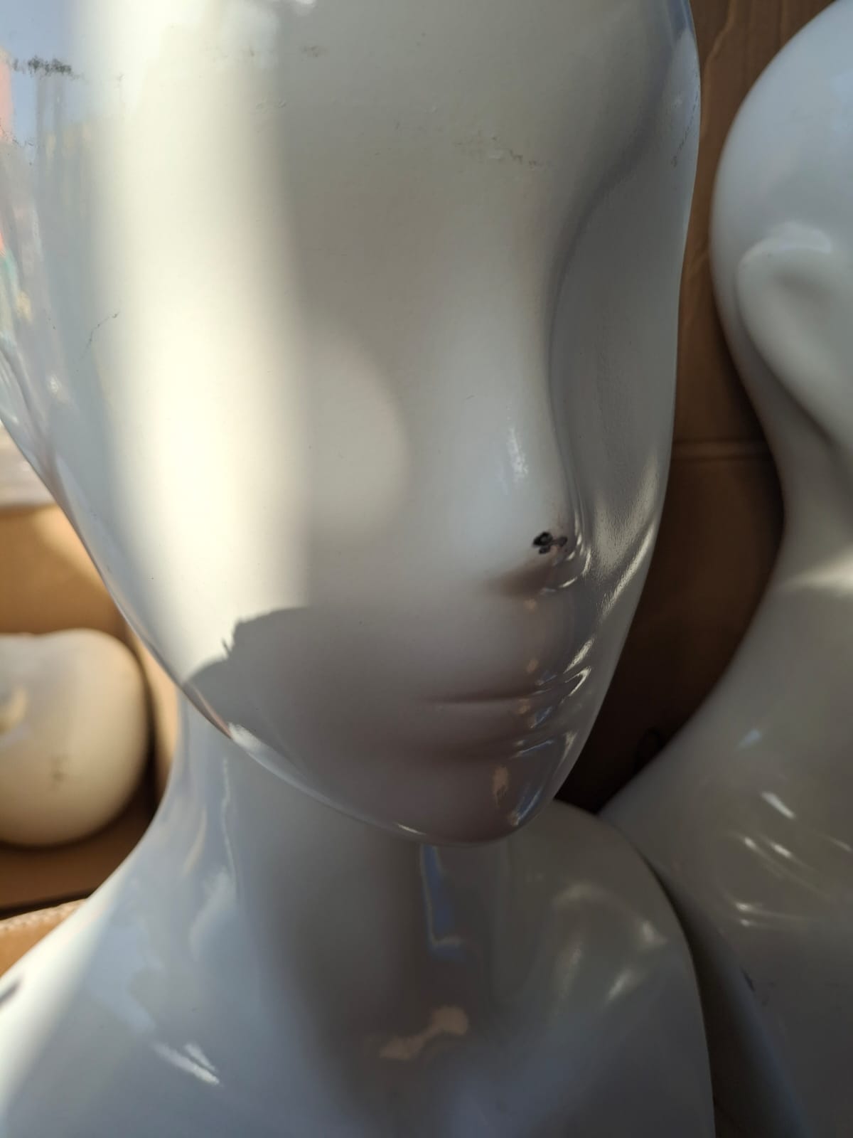Tête de présentation unisexe – Image 7