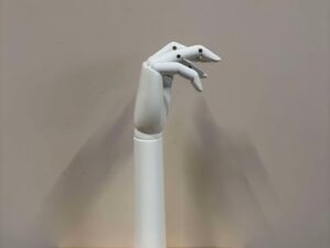 Main de Présentation Articulé