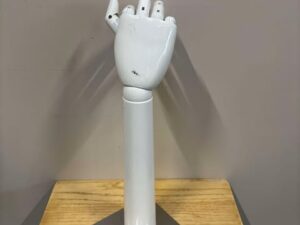 Main de Présentation Articulé