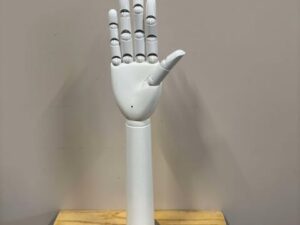 Main de Présentation Articulé