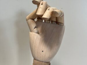 Main de présentation articulé