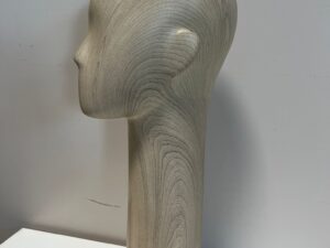 Tête de présentation unisexe