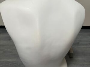 Mannequin Buste Femme