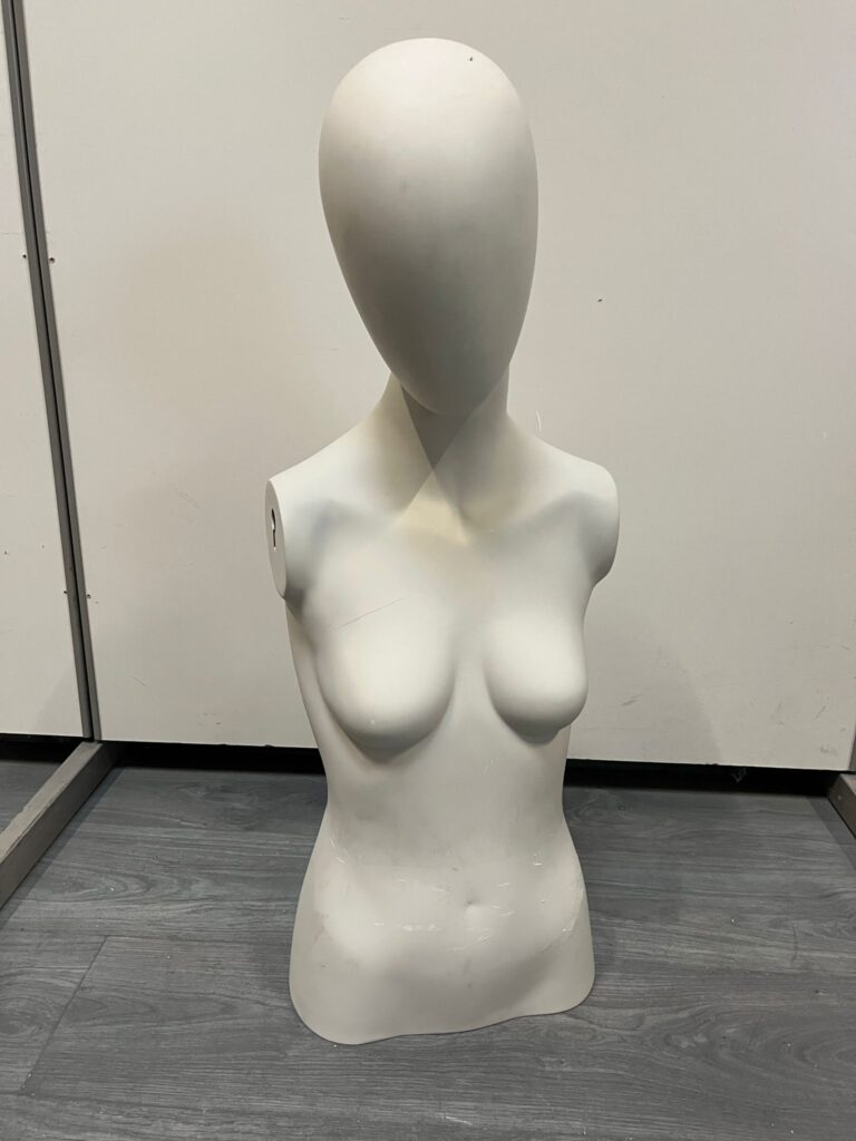 Mannequin Buste Femme