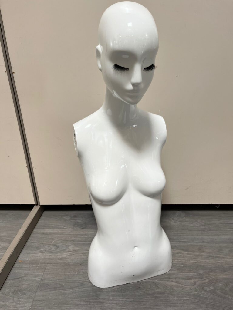 Mannequin Buste Femme