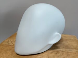 Tête de présentation unisexe