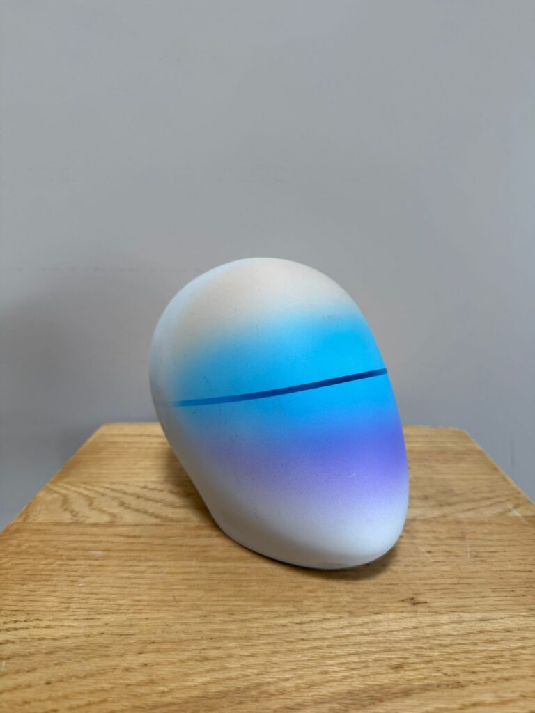 Tête de présentation unisexe bleu/violet