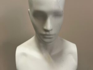Buste mannequin homme