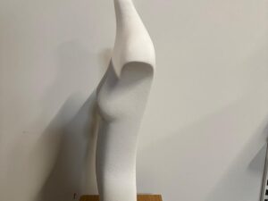 Buste mannequin femme H 75 cm