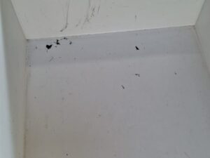 Lot de 5 bacs de rangement 40 x 19 cm