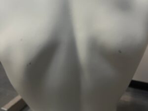 Mannequin buste homme