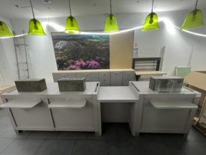 Comptoir de vente bois gris avec module PMR et arrière comptoir – L3,42 m