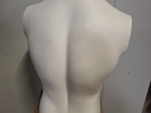 Mannequin buste homme fibre de verre blanc mat – H 65 cm