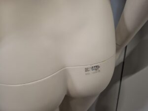 Mannequin buste femme – Fibre de verre blanc crème mat – H 183 cm