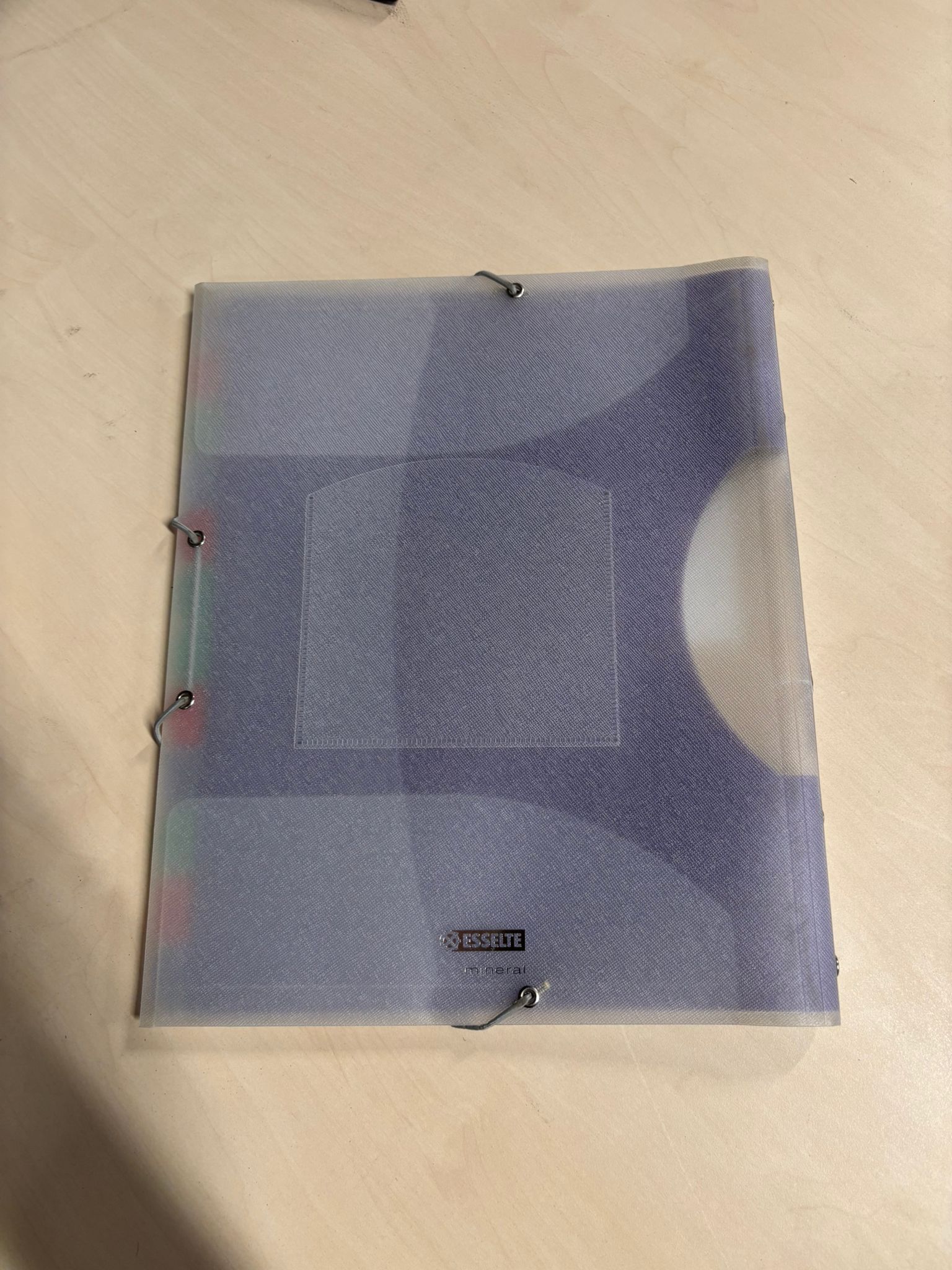 Trieur de documents A4 Esselte – 12 intercalaires