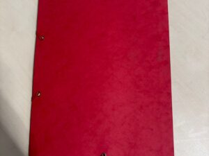 Trieur de documents A4 Fiducial rouge – 12 intercalaires