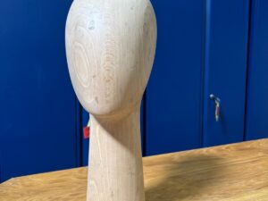 Tête de présentation unisexe en bois