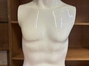 Buste enfant adolescent 14/15 ans – Fibre de verre blanc brillant – H 60 cm