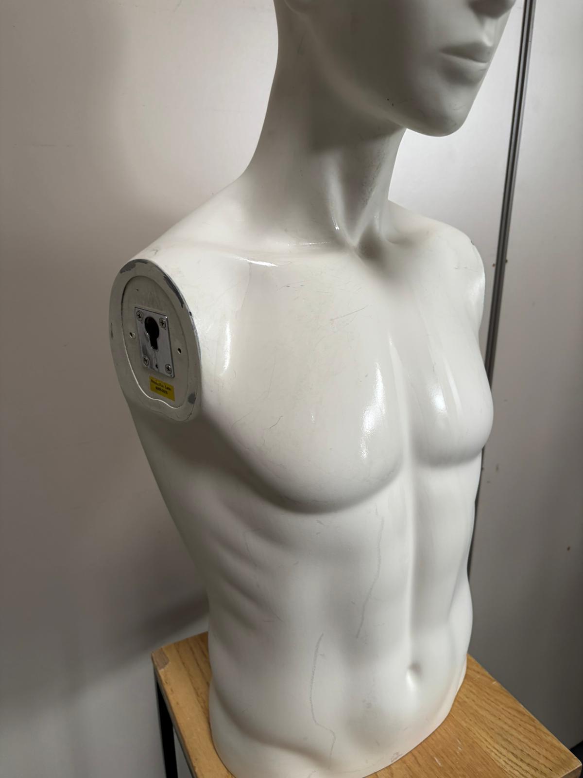 Mannequin buste homme en fibre de verre blanc – H80 cm