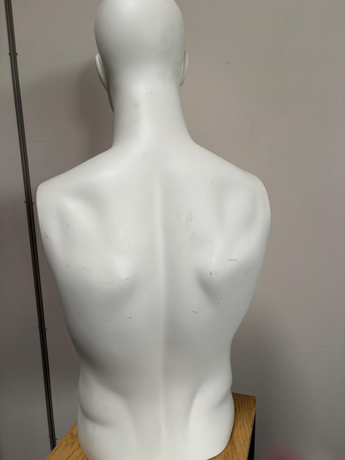Mannequin buste homme en fibre de verre blanc – H80 cm