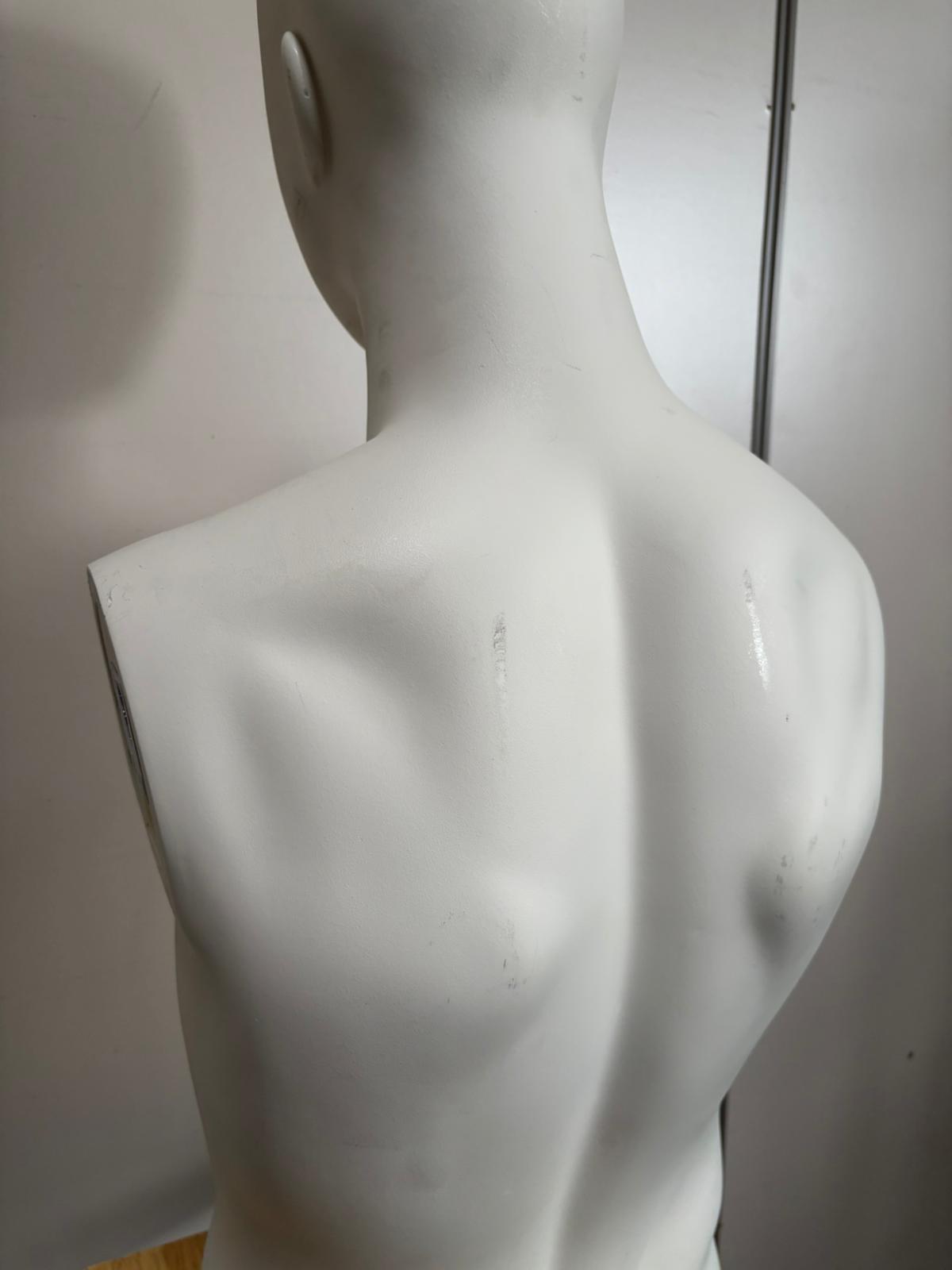 Mannequin buste homme en fibre de verre blanc – H80 cm
