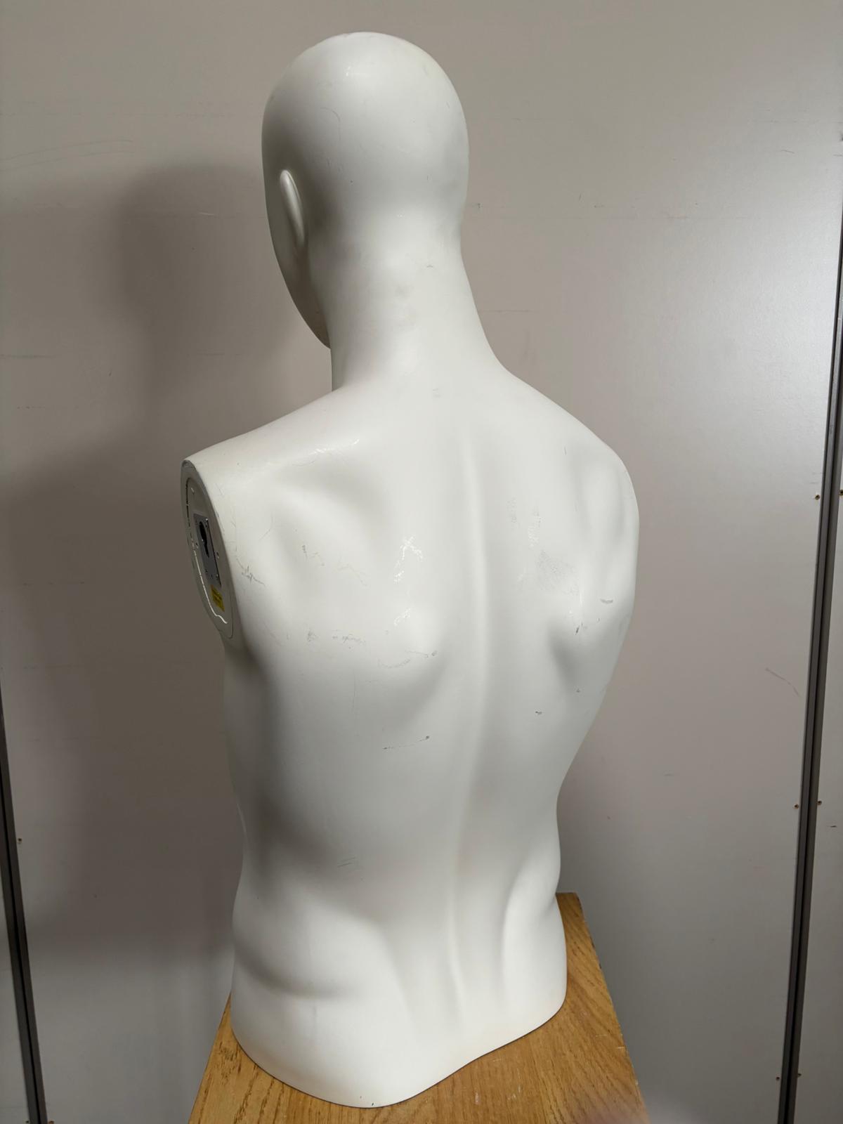 Mannequin buste homme en fibre de verre blanc – H80 cm