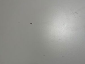 Table design bois et métal blanc et noir – L100 cm