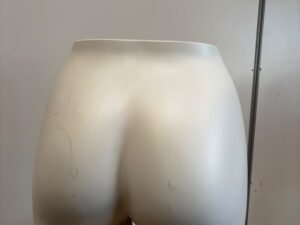 Fessier mannequin femme Hans Boodt – H43,5 cm