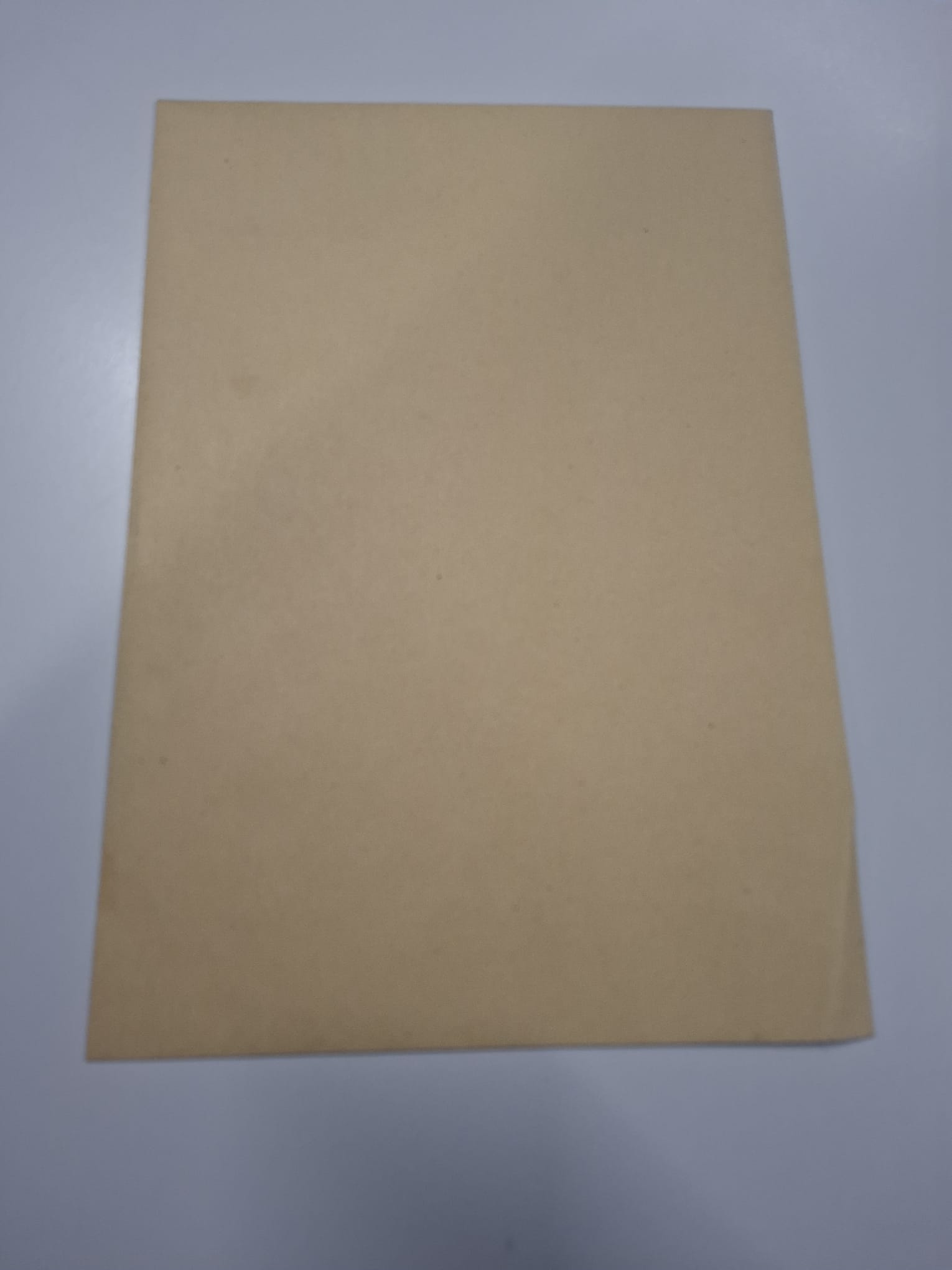 Lot de 250 enveloppes marron – 229 × 324 mm